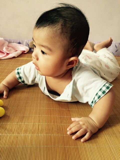 journal_insert_pic_263056162