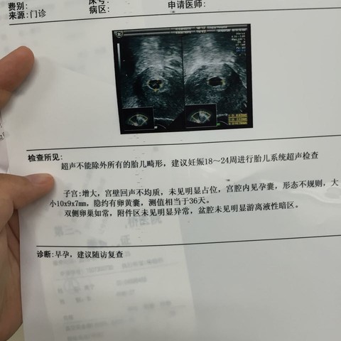 journal_insert_pic_263057875