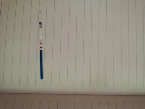 journal_insert_pic_263224413