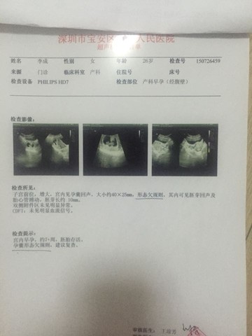 journal_insert_pic_263339733