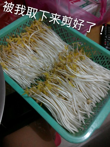 journal_insert_pic_263044953