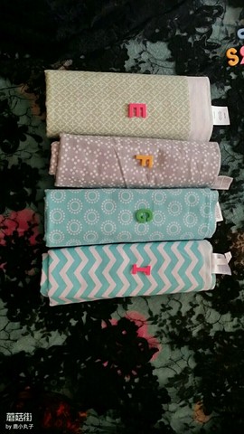 journal_insert_pic_263556024
