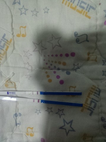 journal_insert_pic_264181031