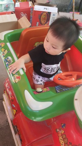 journal_insert_pic_264355482