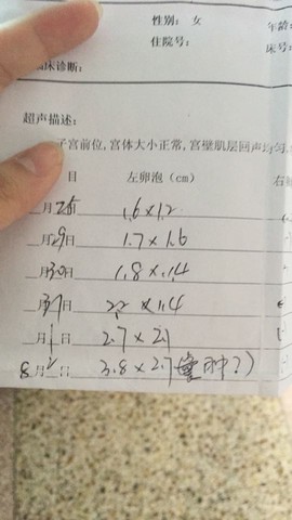 journal_insert_pic_264456073