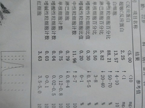 journal_insert_pic_266034974