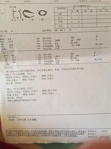 journal_insert_pic_266678090