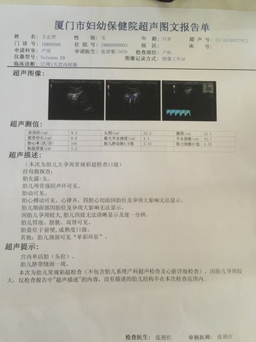 journal_insert_pic_266710932