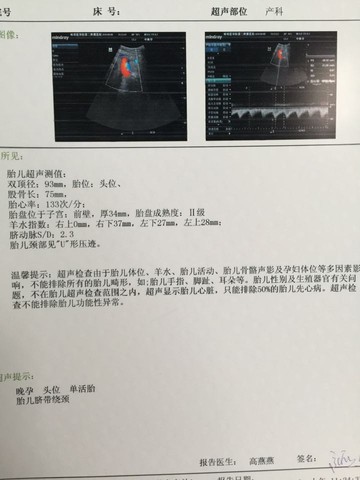 journal_insert_pic_267239007