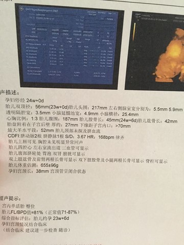 journal_insert_pic_269324008