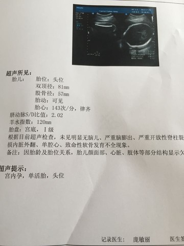 journal_insert_pic_270075556