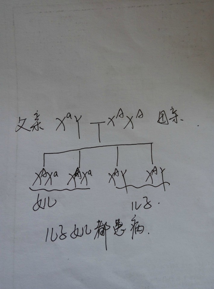 狐臭遗传规律图图片