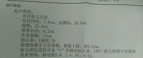 journal_insert_pic_270050634