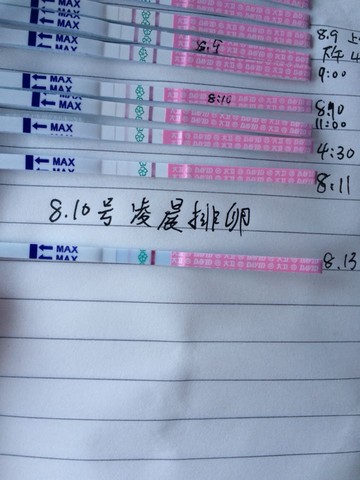 journal_insert_pic_270284940