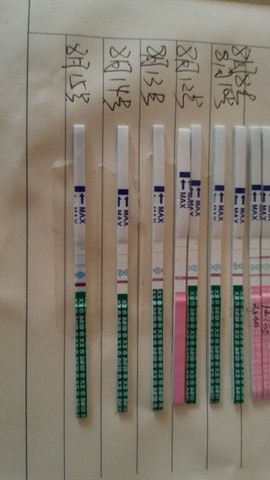 journal_insert_pic_270735417
