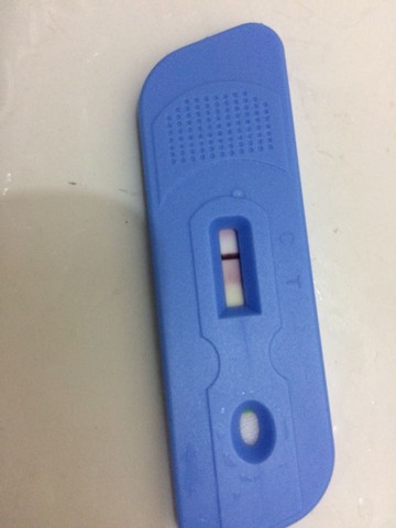 journal_insert_pic_271315940