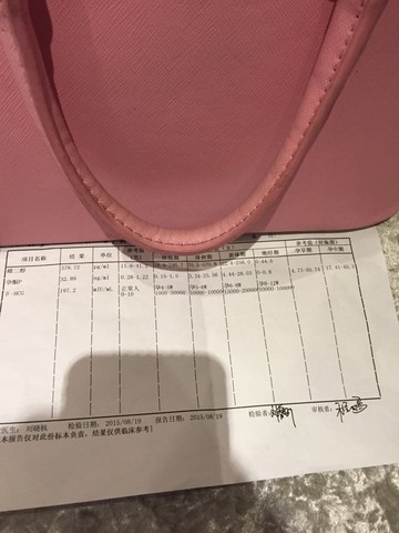 journal_insert_pic_273374402