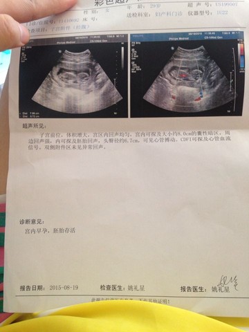 journal_insert_pic_273592171