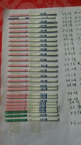 journal_insert_pic_273854733