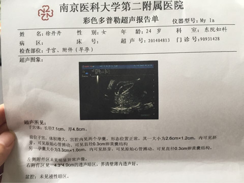 journal_insert_pic_274420808