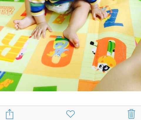journal_insert_pic_277285487