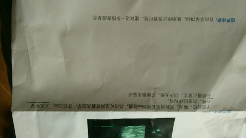journal_insert_pic_277625645