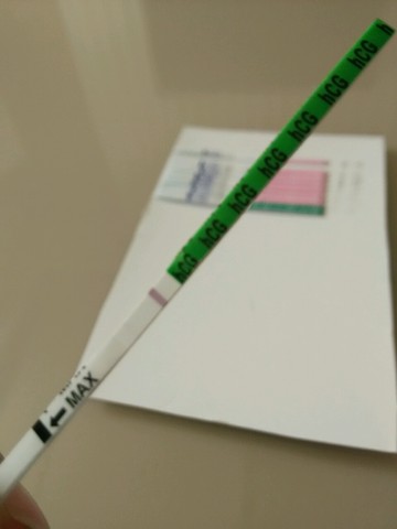 journal_insert_pic_277922511