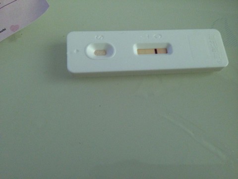 journal_insert_pic_280413558
