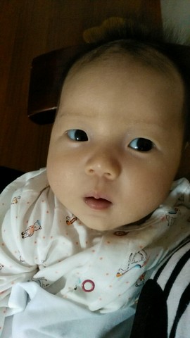 journal_insert_pic_280555486