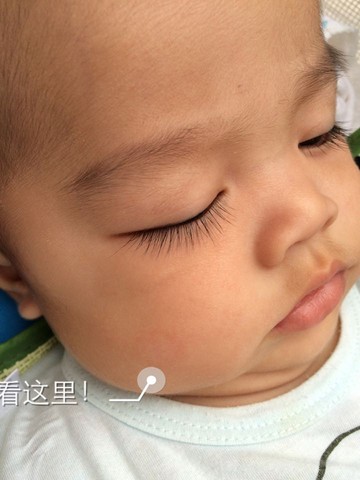 journal_insert_pic_282302162