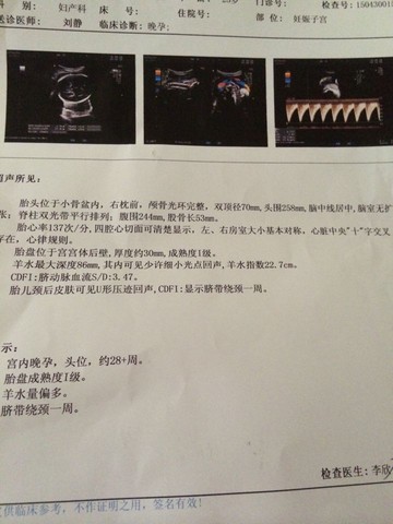 journal_insert_pic_281175658