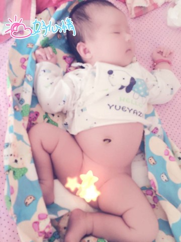 journal_insert_pic_284299380