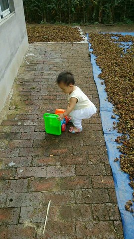 journal_insert_pic_285123145