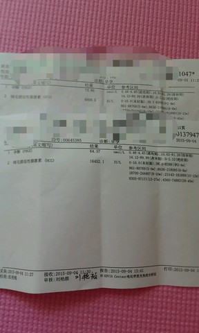 journal_insert_pic_287785617