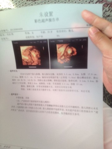 journal_insert_pic_288494722