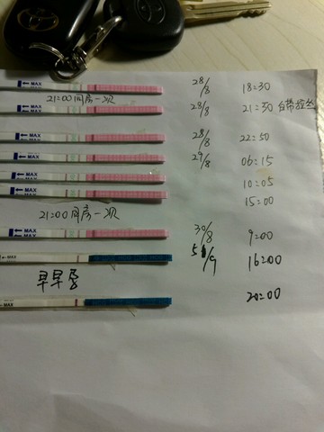 journal_insert_pic_288690615