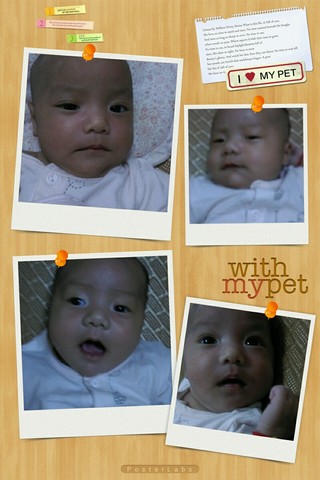 journal_insert_pic_288744646