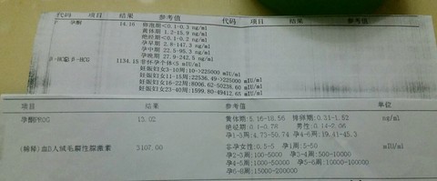 journal_insert_pic_289591046
