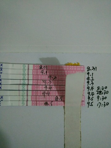 journal_insert_pic_289138537