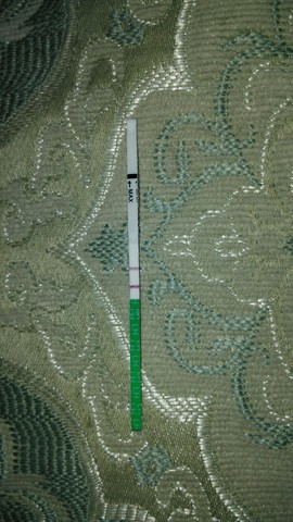 journal_insert_pic_289009509