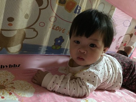 journal_insert_pic_288905427