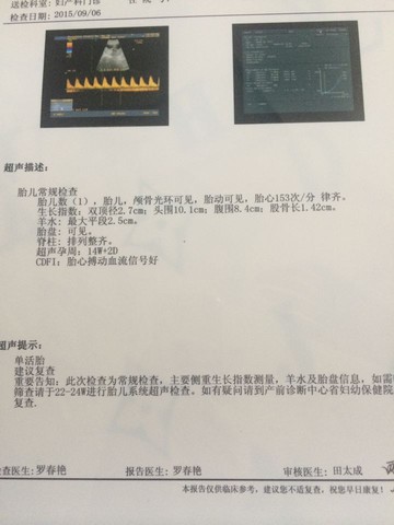 journal_insert_pic_289144938