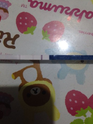 journal_insert_pic_290772727