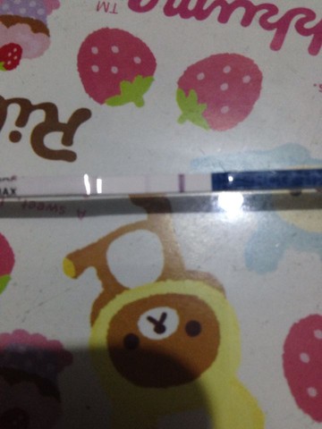 journal_insert_pic_290772701
