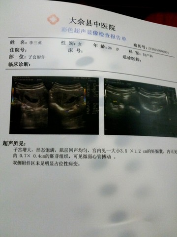 journal_insert_pic_291573076