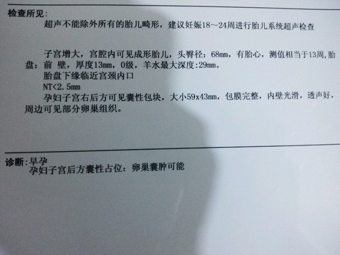 journal_insert_pic_292028522