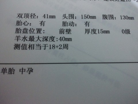 journal_insert_pic_292028635