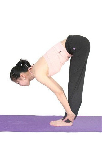journal_insert_pic_291733853