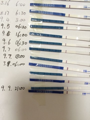 journal_insert_pic_292054767