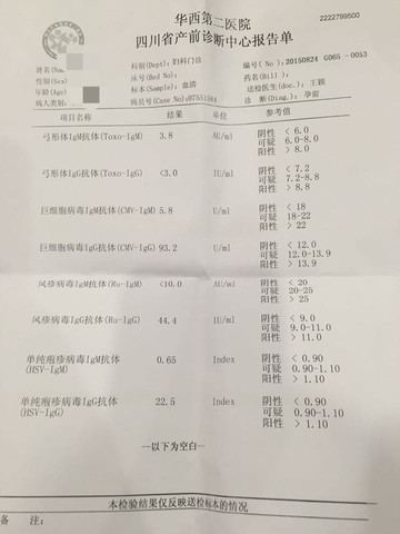 journal_insert_pic_292213916